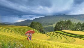 Capture the vibrant beauty of Lao Chai in spring